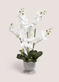 Plastic Orchid In Cement Urn Pot (24cm x 24cm x 76cm)
