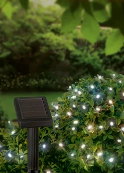 Premier Decorations 1000 LED Cool White Solar String Lights