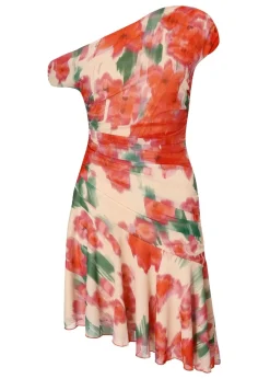 Quiz Red Mesh Floral Mini Dress