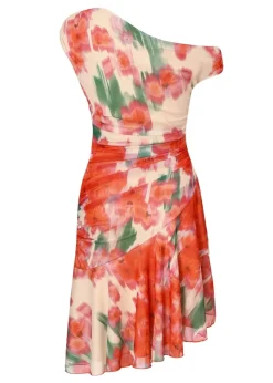 Quiz Red Mesh Floral Mini Dress