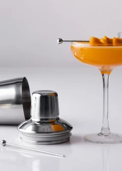 Ravenhead Entertain Martini Cocktail Set