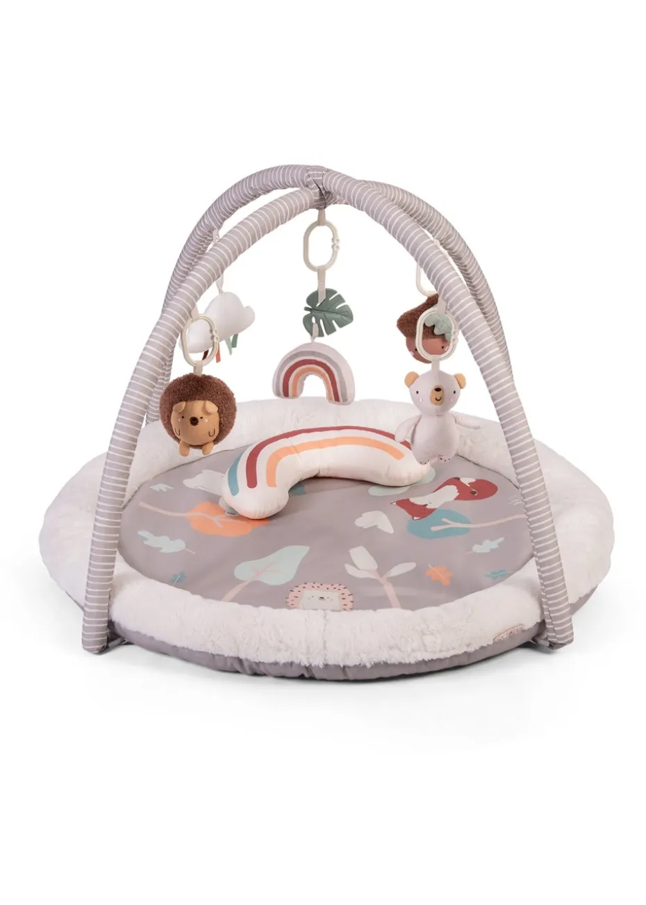 Red Kite Woodland Walks Play Gym