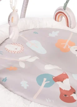 Red Kite Woodland Walks Play Gym