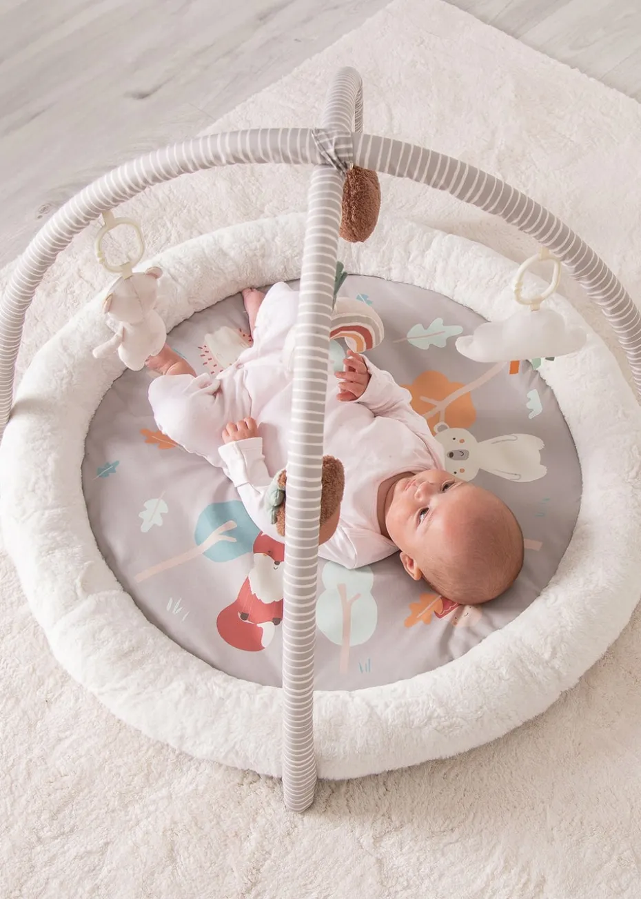 Red Kite Woodland Walks Play Gym