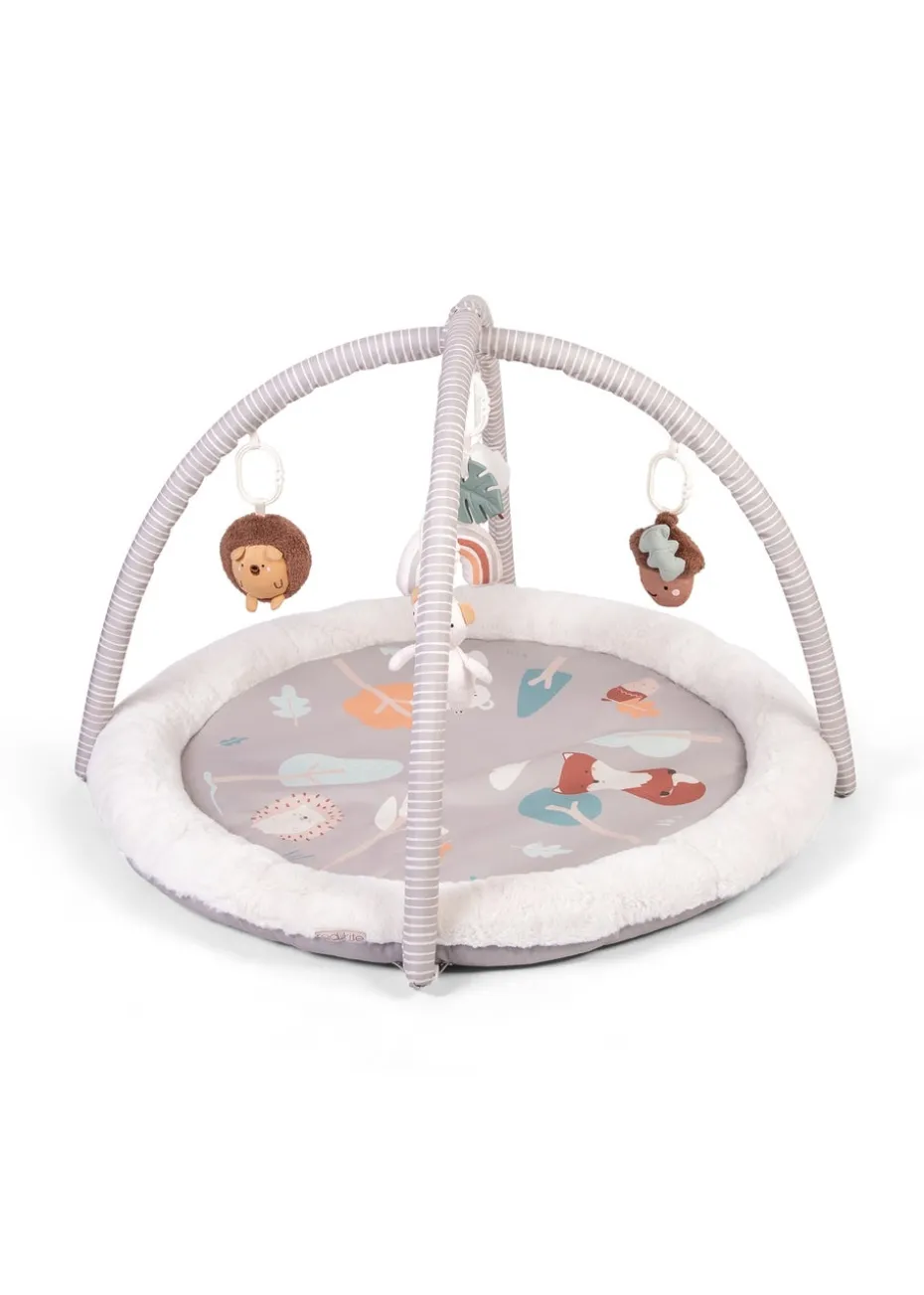 Red Kite Woodland Walks Play Gym