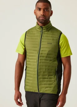 Regatta Forest Green Andreson Water Repellent Extol Stretch Hybrid Bodywarmer