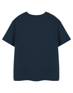 Roald Dahl BFG Unisex Kids Blue T-Shirt (3-14 Years)