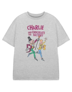 Roald Dahl Charlie & The Chocolate Factory Unisex Kids Grey T-Shirt (3-14 Years)