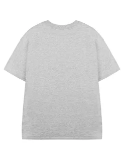 Roald Dahl Charlie & The Chocolate Factory Unisex Kids Grey T-Shirt (3-14 Years)