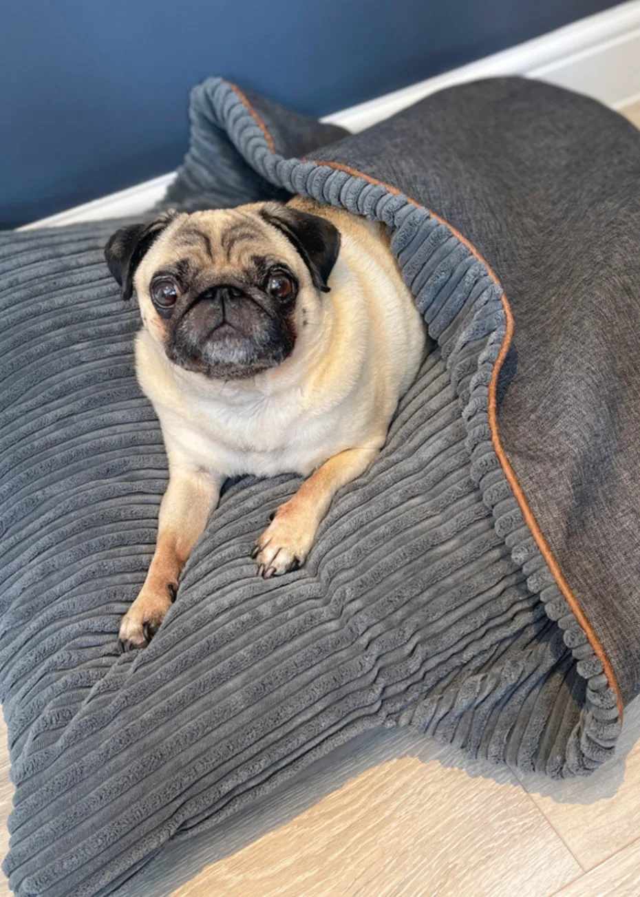 rucomfy Jumbo Cord Burrower Medium Slate Grey Pet Bed