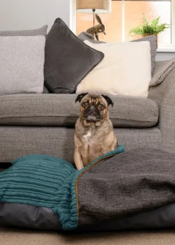 rucomfy Jumbo Cord Burrower Medium Teal Pet Bed