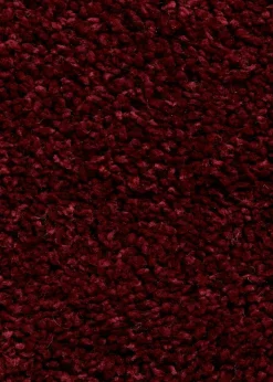 Think Rugs Sierra Ruby Plain Shaggy Rectangle Rug