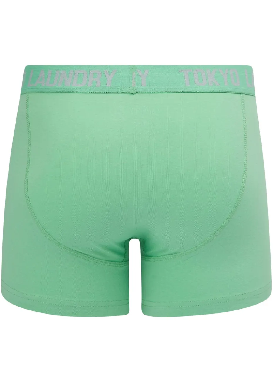 Tokyo Laundry Pink 6-Pack Cotton Boxers