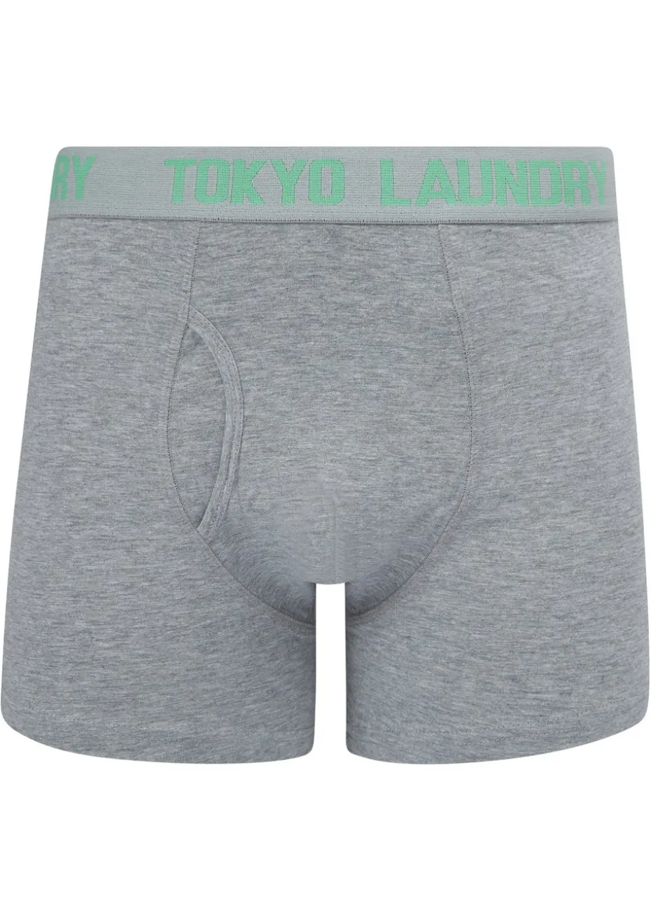 Tokyo Laundry Pink 6-Pack Cotton Boxers