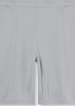 Under Armour Grey Tech Shorts
