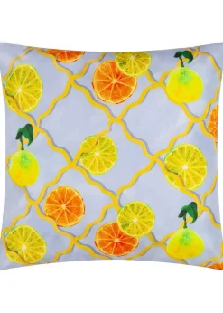 Wylder Citrus Blue Trellis Printed Outdoor Outdoor Cushion