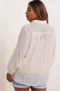 Yours Curve Light Pink Sheer Embroidered Blouse
